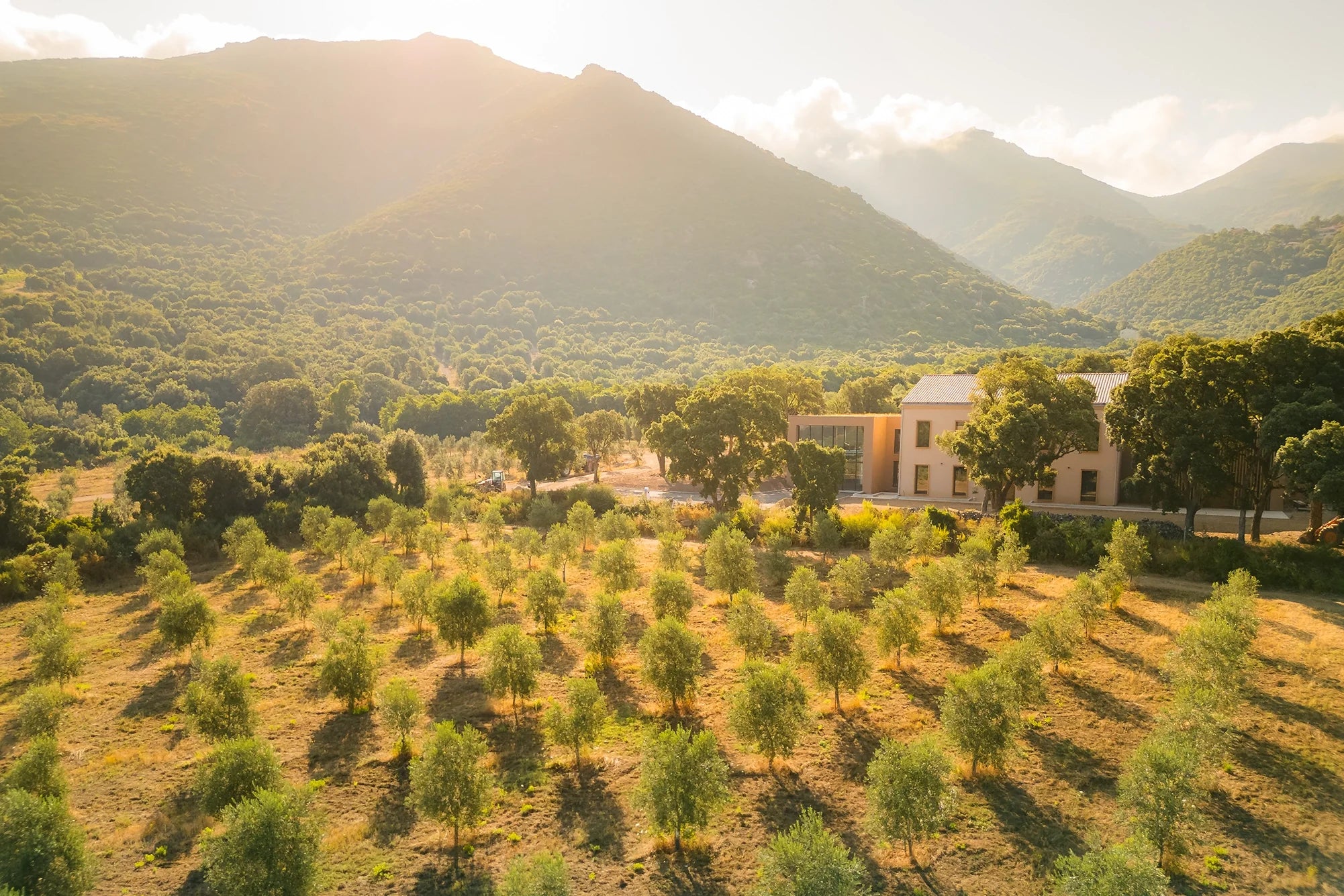 Des montagnes corses à chaque bouteille