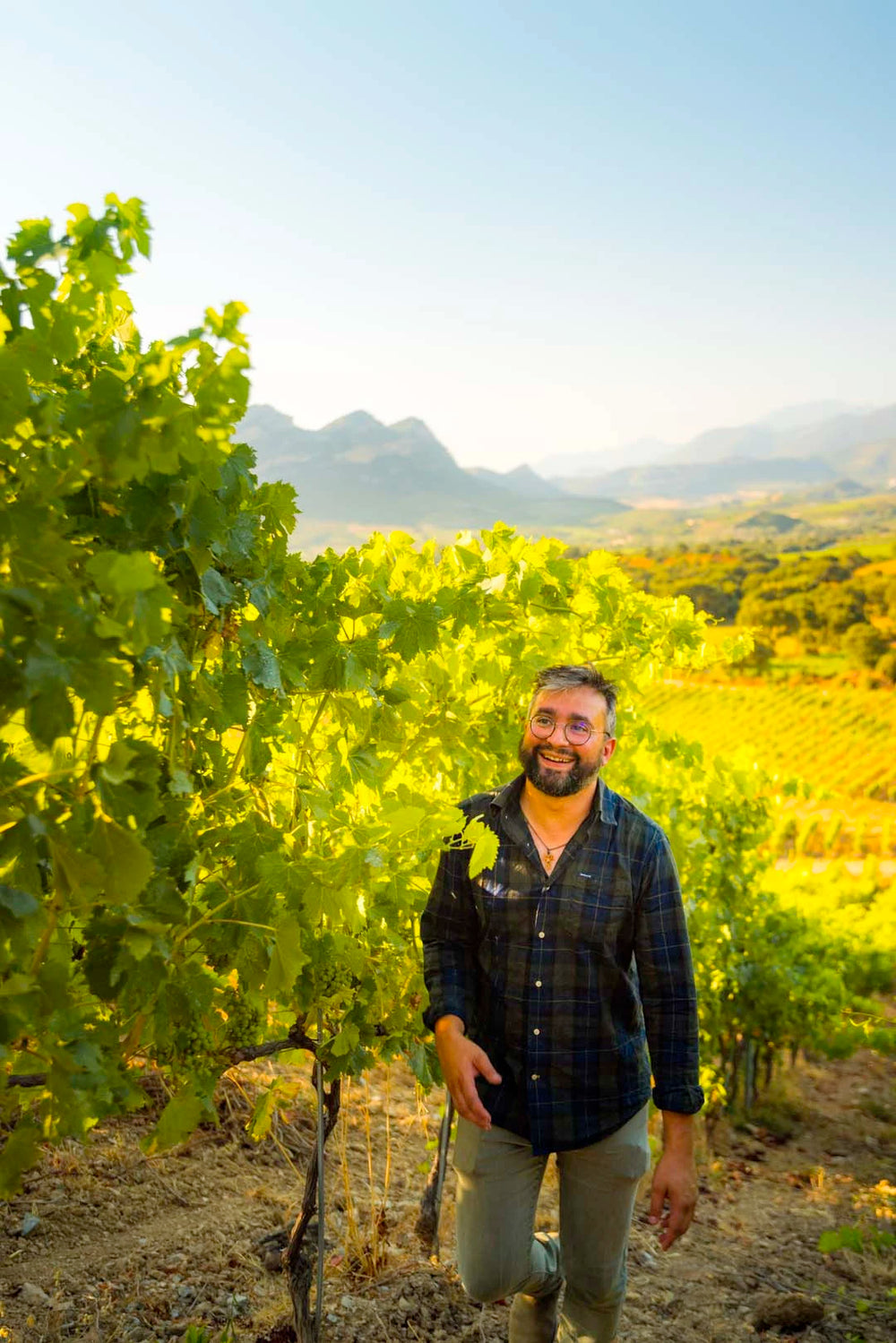 L’histoire du domaine